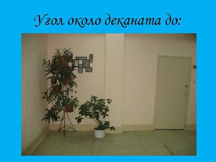 Угол около деканата до: 