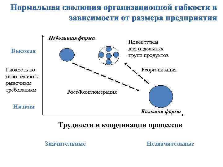 Небольшая фирма Высокая Гибкость по отношению к рыночным требованиям Подсистемы для отдельных групп продуктов