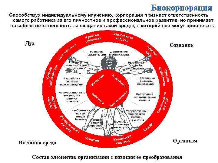 Способствуя индивидуальному научению, корпорация признает ответственность самого работника за его личностное и профессиональное развитие,