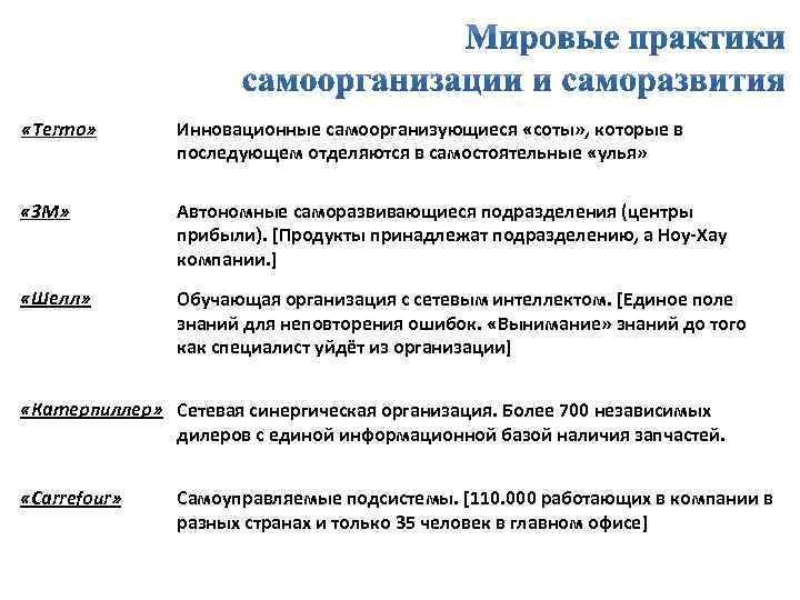  «Termo» Инновационные самоорганизующиеся «соты» , которые в последующем отделяются в самостоятельные «улья» «