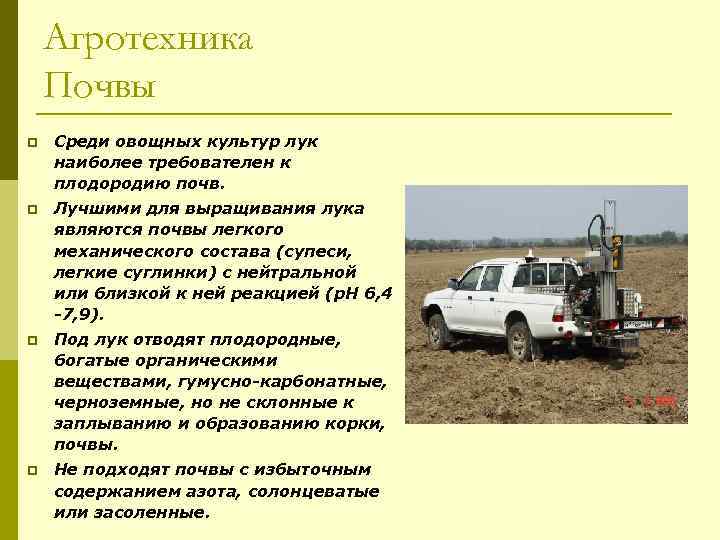 Агротехника Почвы p Среди овощных культур лук наиболее требователен к плодородию почв. p Лучшими
