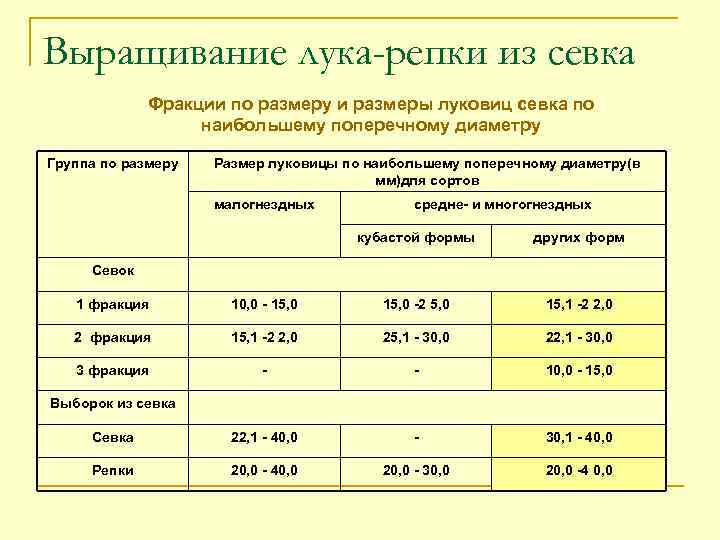 Выращивание лука-репки из севка Фракции по размеру и размеры луковиц севка по наибольшему поперечному