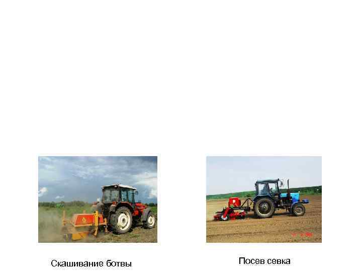 Скашивание ботвы Посев севка 