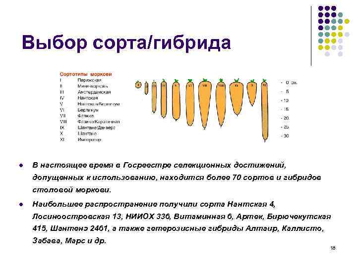 Выбор сорта/гибрида l В настоящее время в Госреестре селекционных достижений, допущенных к использованию, находится