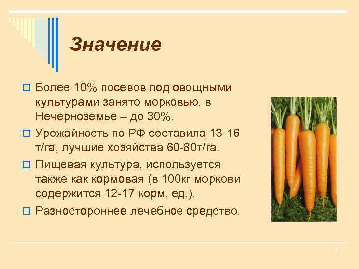 Сколько гр морковь. Урожайность морковки. Морковь сколько. Сколько есть моркови в день. Семеноводство моркови.