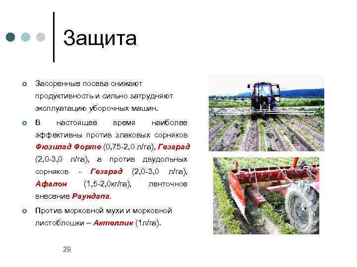 Защита ¢ Засоренные посева снижают продуктивность и сильно затрудняют эксплуатацию уборочных машин. ¢ В