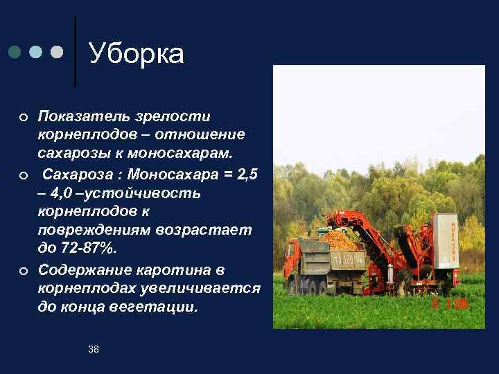 Уборка ¢ ¢ ¢ Показатель зрелости корнеплодов – отношение сахарозы к моносахарам. Сахароза :