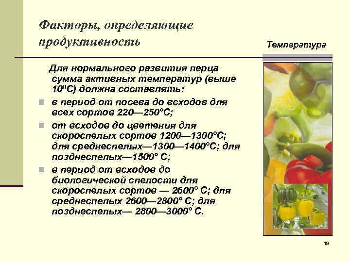 Факторы, определяющие продуктивность Температура Для нормального развития перца сумма активных температур (выше 100 С)