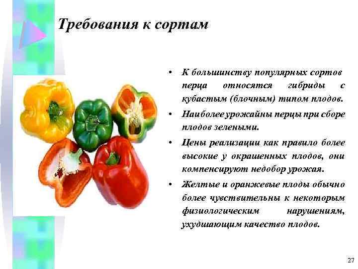 Требования к сортам • К большинству популярных сортов перца относятся гибриды с кубастым (блочным)