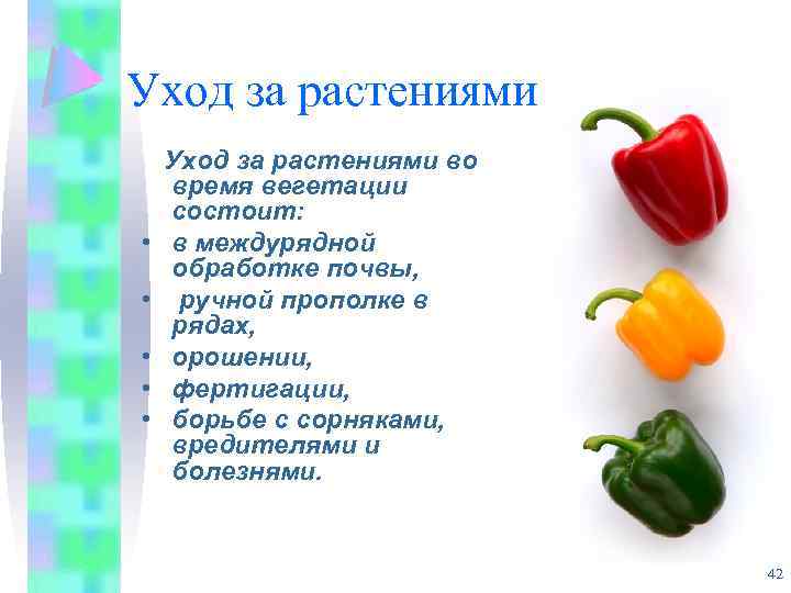 Уход за растениями • • • Уход за растениями во время вегетации состоит: в