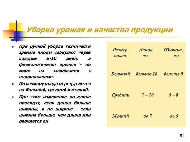Уборка урожая и качество продукции n n n При ручной уборке технически зрелые плоды