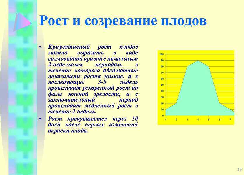 Рост и созревание плодов • • Кумулятивный рост плодов можно выразить в виде сигмовидной