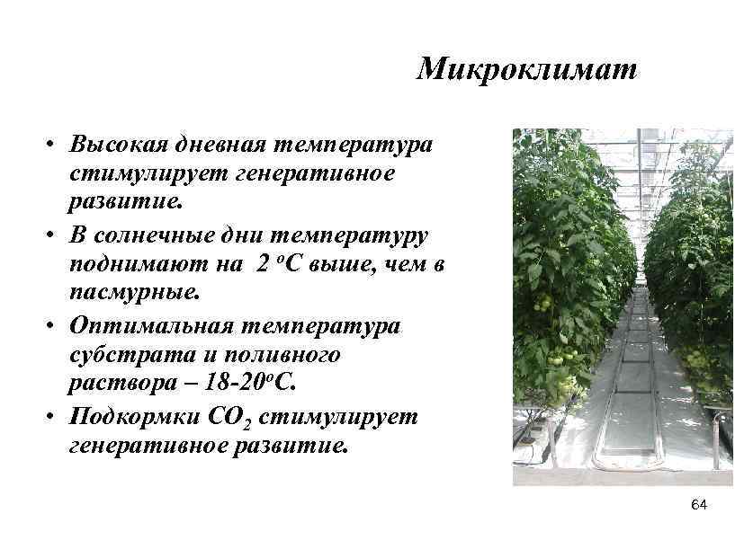 Микроклимат • Высокая дневная температура стимулирует генеративное развитие. • В солнечные дни температуру поднимают