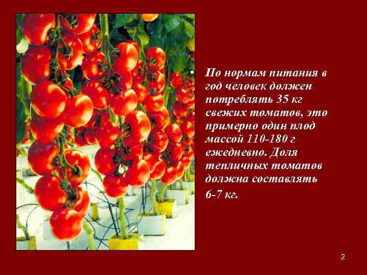  • По нормам питания в год человек должен потреблять 35 кг свежих томатов,