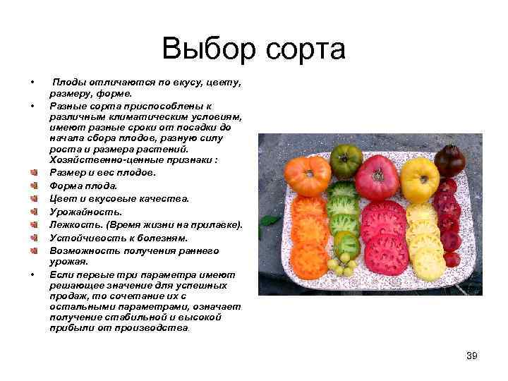 Выбор сорта • • • Плоды отличаются по вкусу, цвету, размеру, форме. Разные сорта