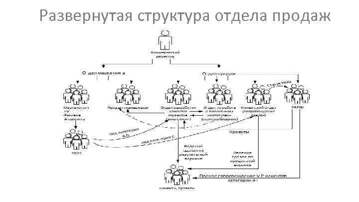 Развернутая структура отдела продаж 