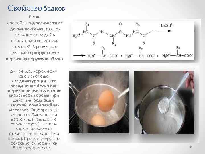 Практическая работа белки 10 класс химия