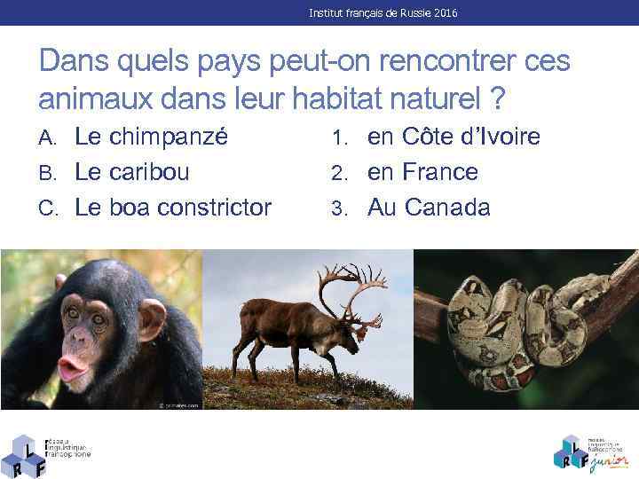 Institut français de Russie 2016 Dans quels pays peut-on rencontrer ces animaux dans leur
