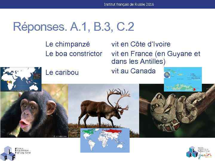 Institut français de Russie 2016 Réponses. A. 1, B. 3, C. 2 Le chimpanzé