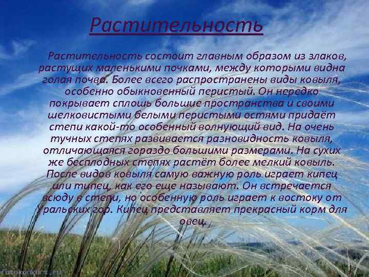 Растительность состоит главным образом из злаков, растущих маленькими почками, между которыми видна голая почва.