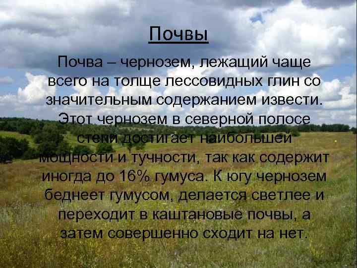 Почвы Почва – чернозем, лежащий чаще всего на толще лессовидных глин со значительным содержанием