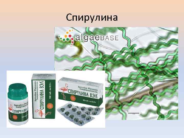 Спирулина 