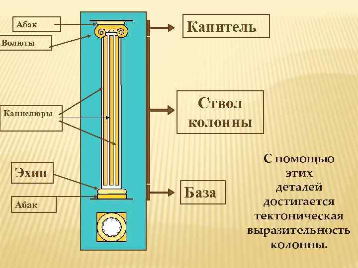 Абак Капитель Волюты Каннелюры Ствол колонны Эхин Абак База С помощью этих деталей достигается