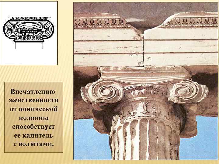 Впечатлению женственности от ионической колонны способствует ее капитель с волютами. 