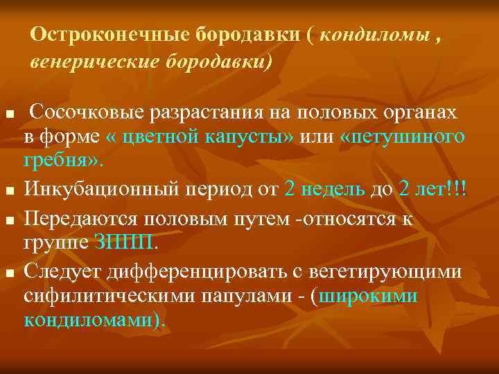 Остроконечные бородавки ( кондиломы , венерические бородавки) n n Сосочковые разрастания на половых органах