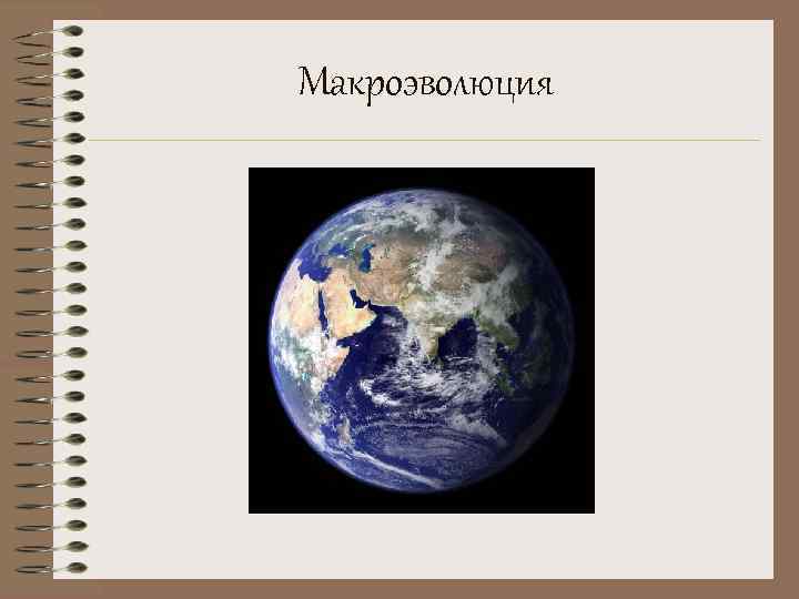 Макроэволюция 