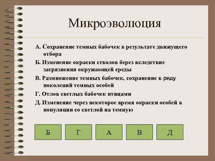 Микроэволюция А. Сохранение темных бабочек в результате движущего отбора Б. Изменение окраски стволов берез