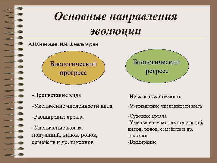 Основные направления эволюции А. Н. Северцев, И. И. Шмальгаузен Биологический прогресс Биологический регресс -Процветание
