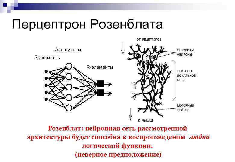 Перцептрон Розенблата Розенблат: нейронная сеть рассмотренной архитектуры будет способна к воспроизведению любой логической функции.
