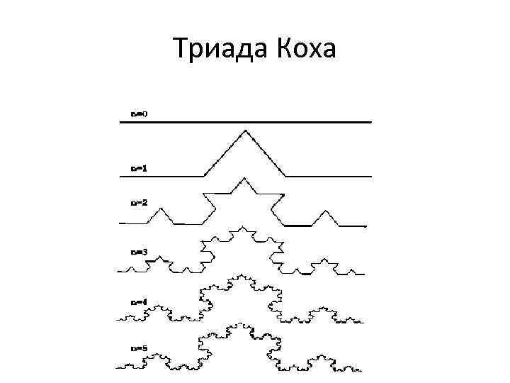 Триада Коха 