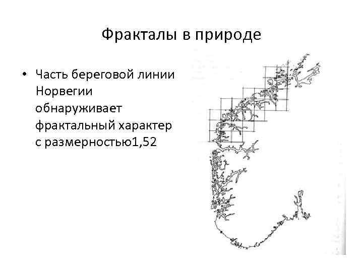 Характер береговой линии. Береговая линия фрактал. Фрактальность береговой линии. Фрактал в природе Береговая линия. Длина береговой линии Фракталы.