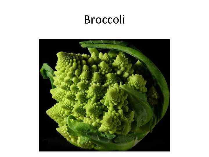 Broccoli 