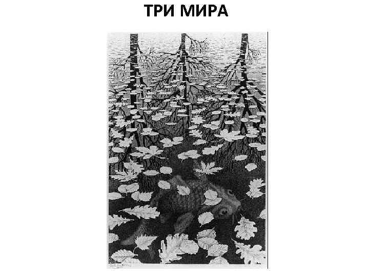 ТРИ МИРА 