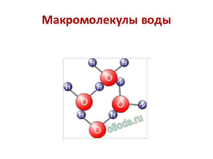 Макромолекулы воды 