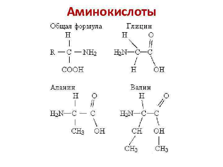 Аминокислоты 