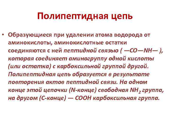 Полипептидная цепь • Образующиеся при удалении атома водорода от аминокислоты, аминокислотные остатки соединяются с