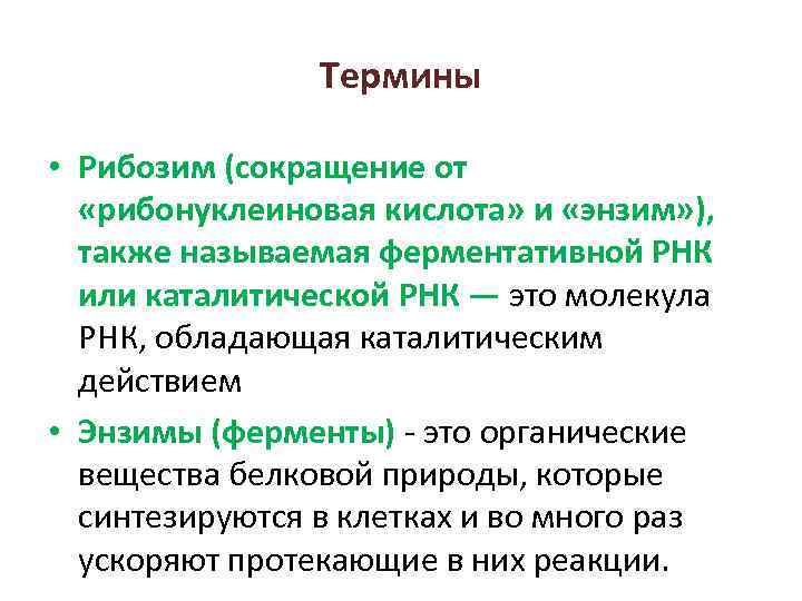 Термины • Рибозим (сокращение от «рибонуклеиновая кислота» и «энзим» ), также называемая ферментативной РНК