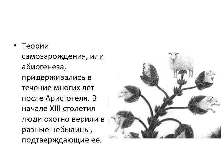  • Теории самозарождения, или абиогенеза, придерживались в течение многих лет после Аристотеля. В