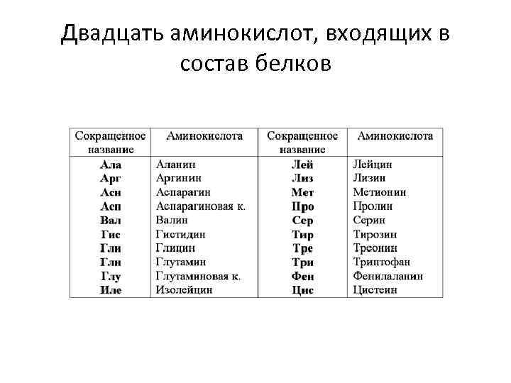 Двадцать аминокислот, входящих в состав белков 