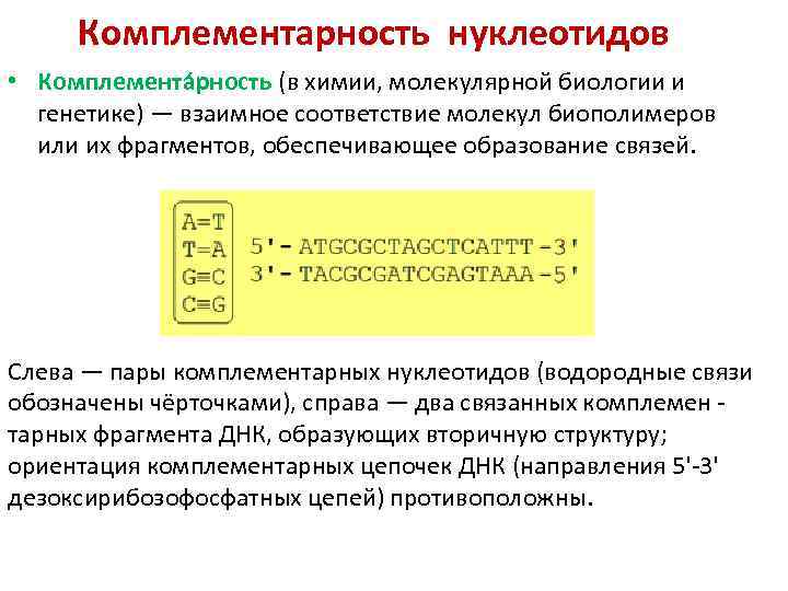 Комплементарность нуклеотидов • Комплемента рность (в химии, молекулярной биологии и генетике) — взаимное соответствие