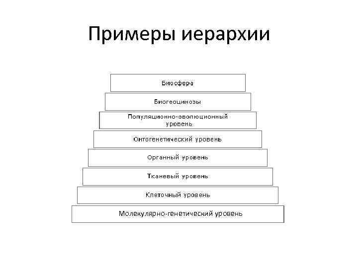 Примеры иерархии Молекулярно-генетический уровень 
