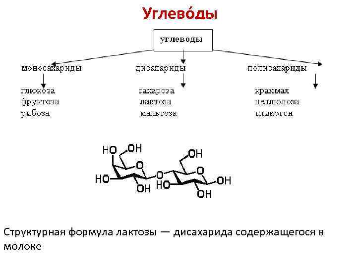 Углево ды Структурная формула лактозы — дисахарида содержащегося в молоке 