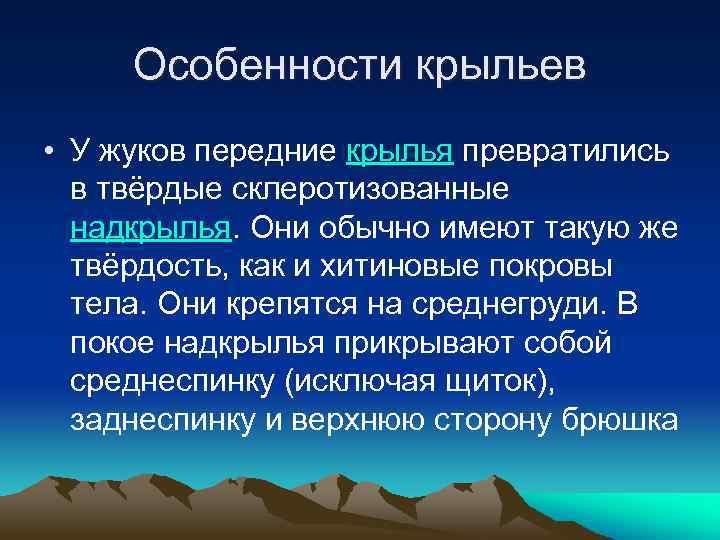 Особенности крыльев • У жуков передние крылья превратились в твёрдые склеротизованные надкрылья. Они обычно