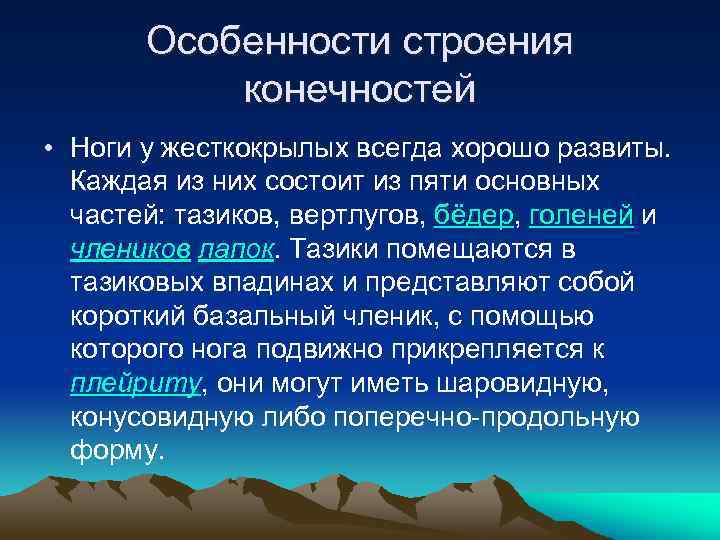 Особенности строения конечностей • Ноги у жесткокрылых всегда хорошо развиты. Каждая из них состоит