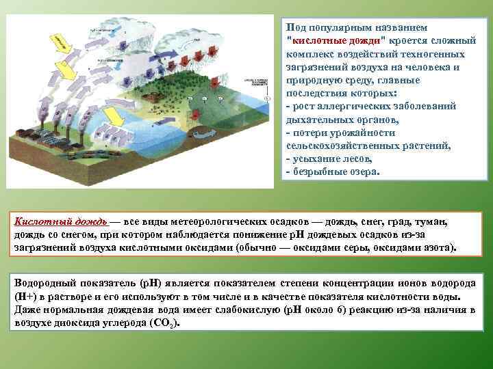 Под популярным названием 