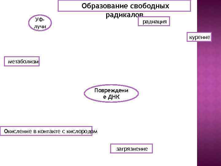 УФлучи Образование свободных радикалов радиация курение метаболизм Повреждени е ДНК Окисление в контакте с